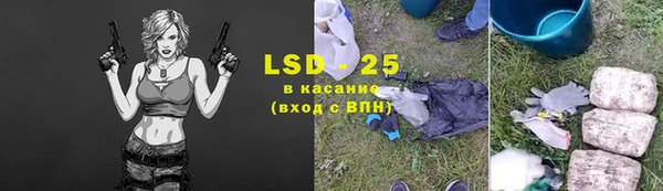 прущие грибы Балахна