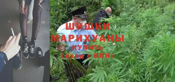 тгк Арсеньев