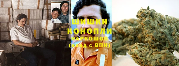 прущие грибы Балахна